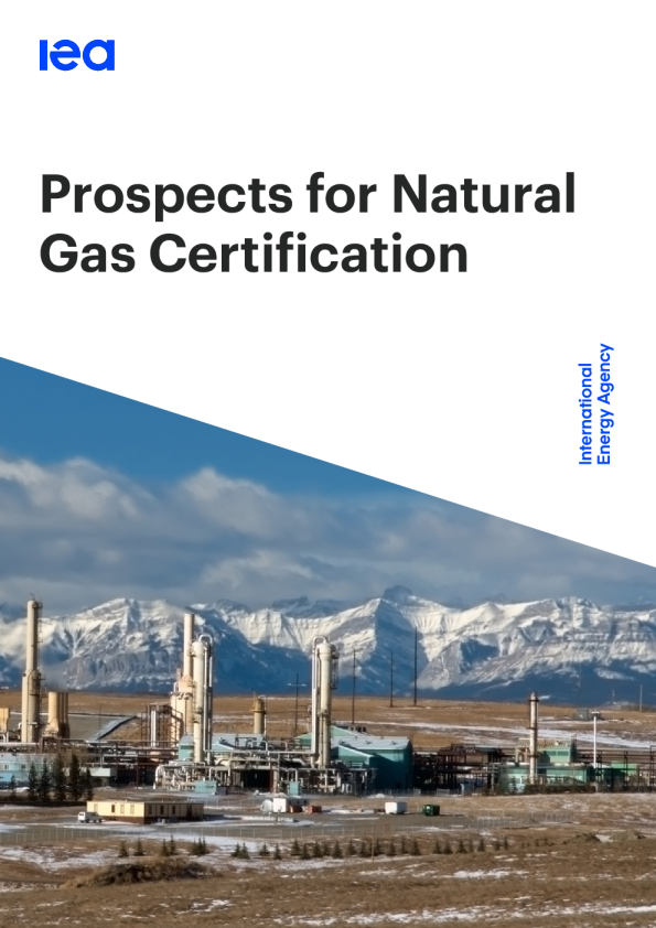 天然气认证前景