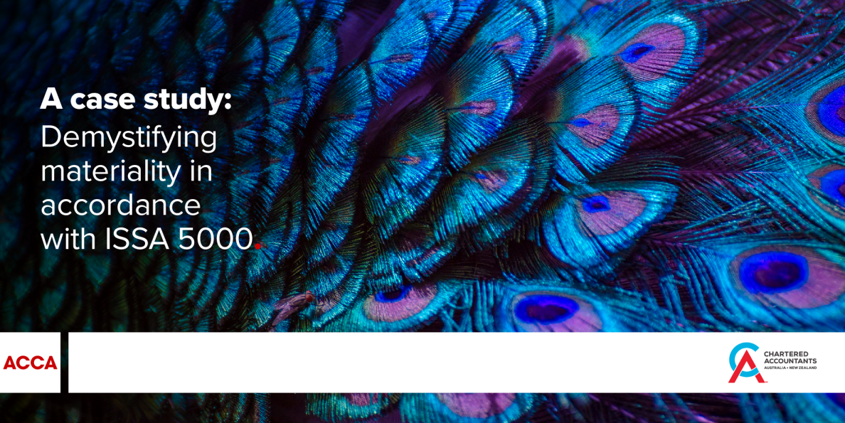 案例研究：根据ISSA 5000揭开物质性之谜-ACCA