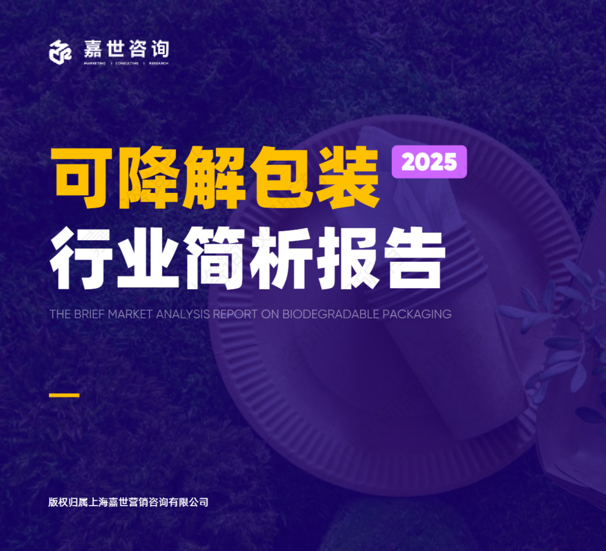 2025年可降解包装行业简析报告