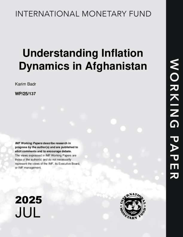 了解阿富汗的通货膨胀动态（英）2025