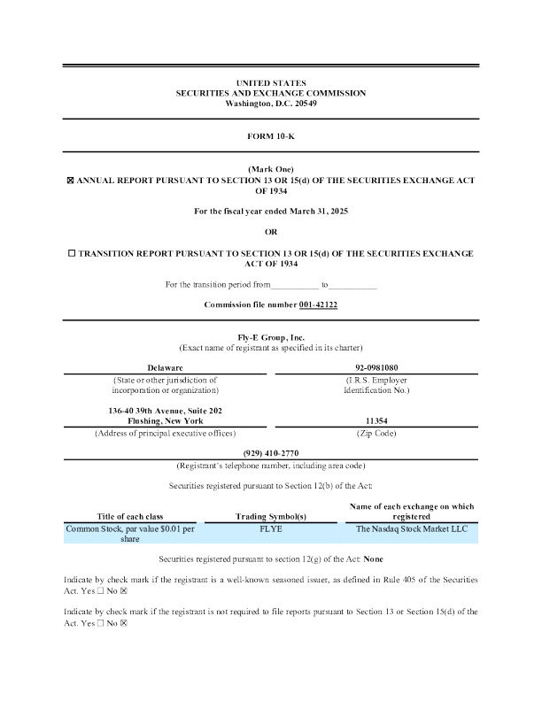 Fly-E Group Inc 2024年度报告