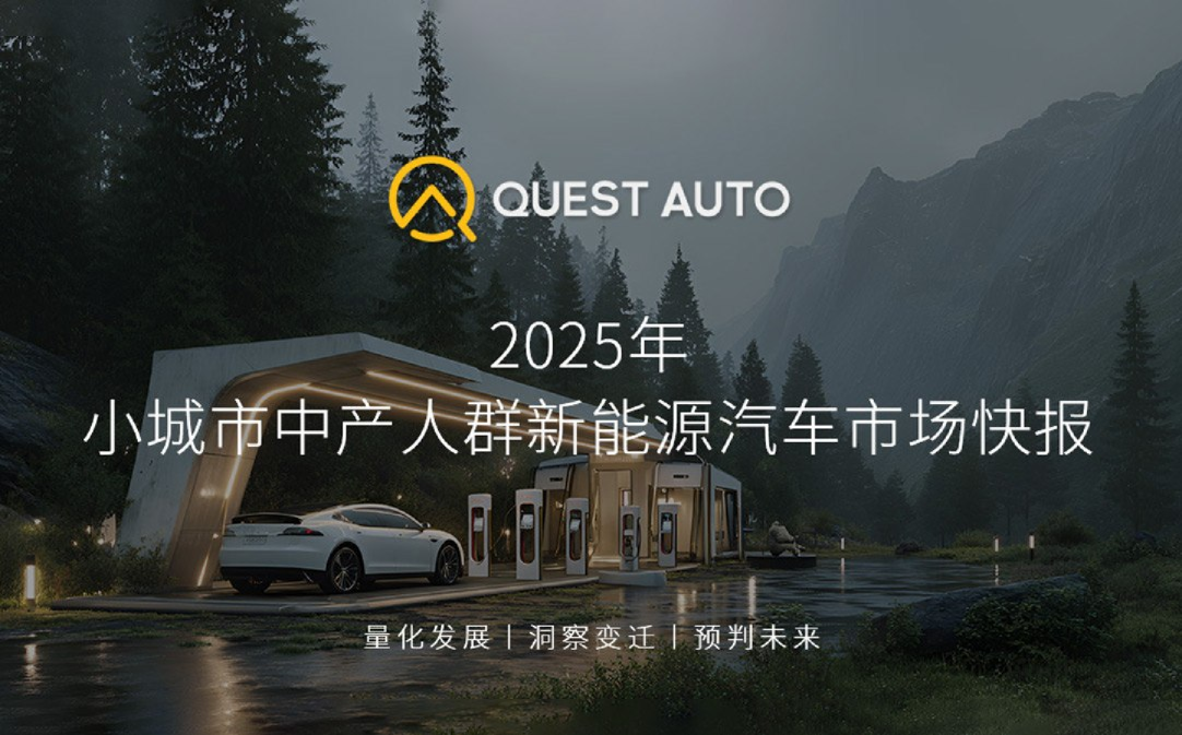 2025年小城市中产人群新能源汽车市场快报