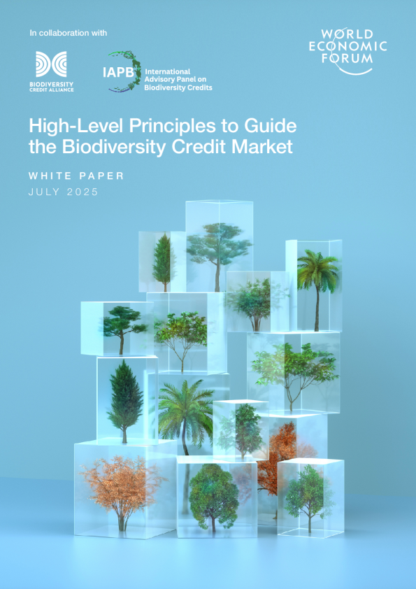 指导生物多样性信贷市场的高级原则
