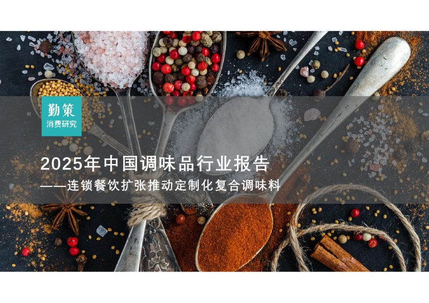 2025年中国调味品行业报告