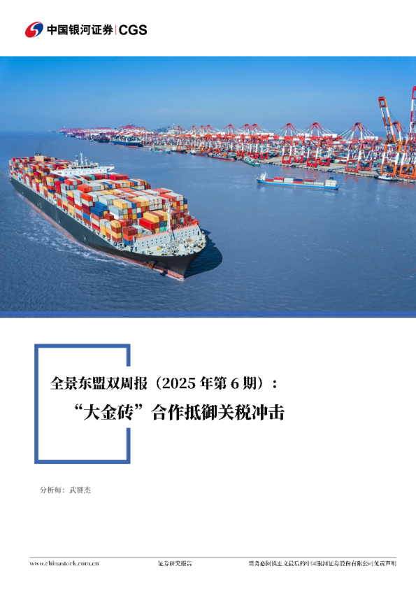 全景东盟双周报：“大金砖”合作抵御关税冲击