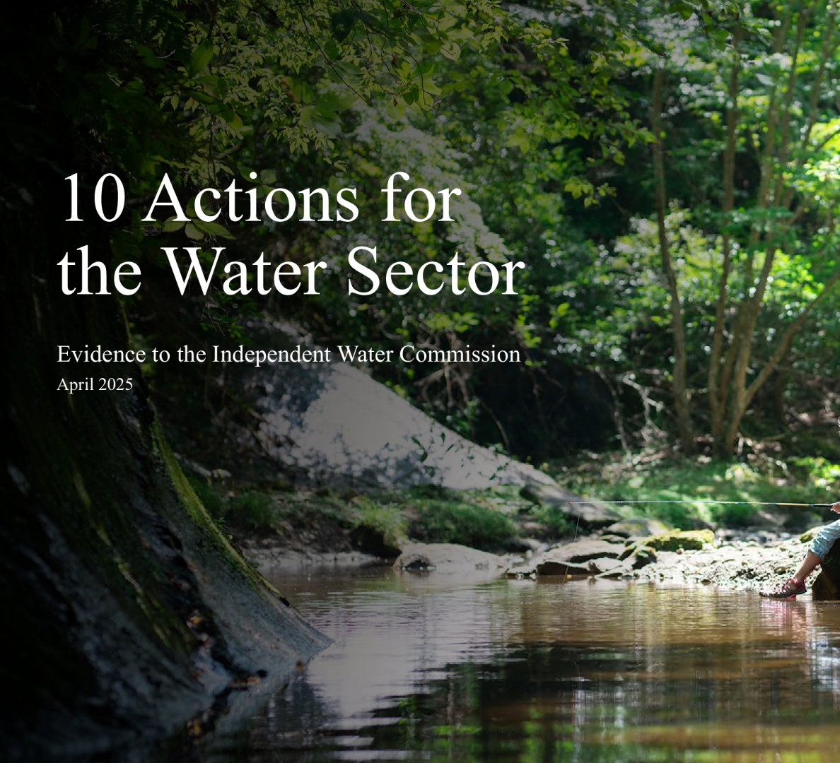 水务部门的10项行动——向独立水务委员会提供的证据