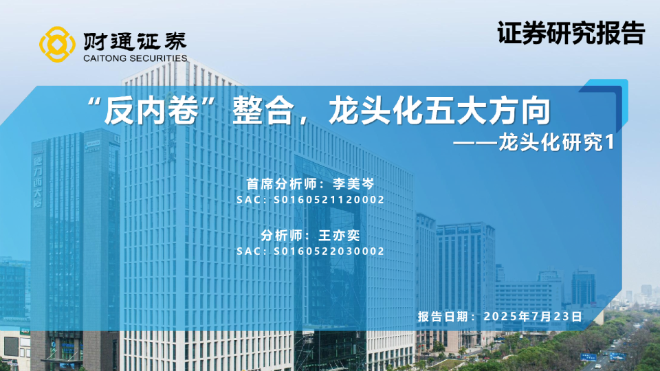 龙头化研究：“反内卷”整合，龙头化五大方向