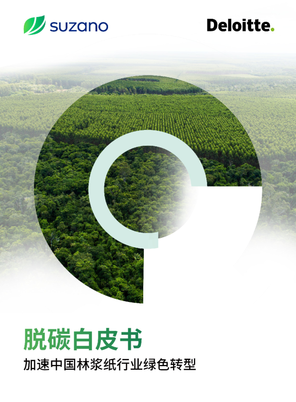 全球气候变化挑战与全球脱碳共识