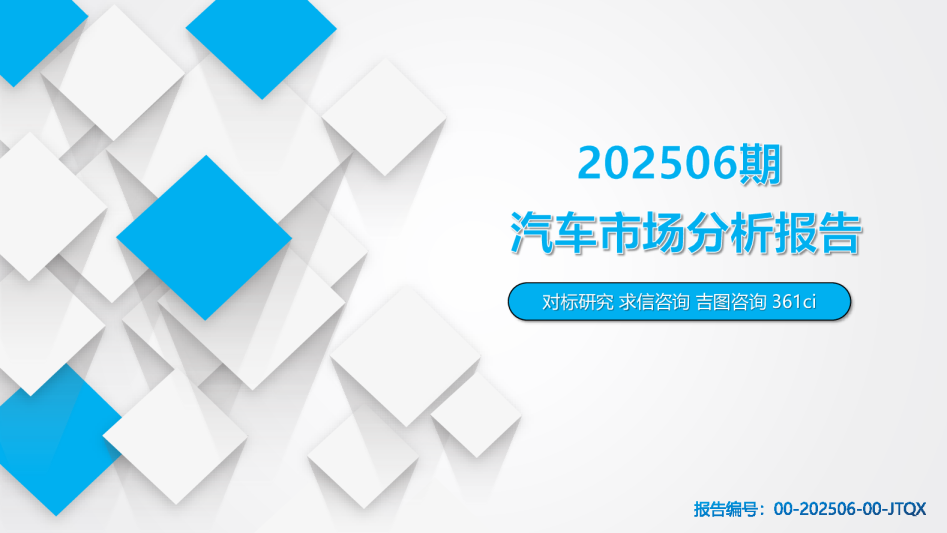 202506期汽车市场分析报告