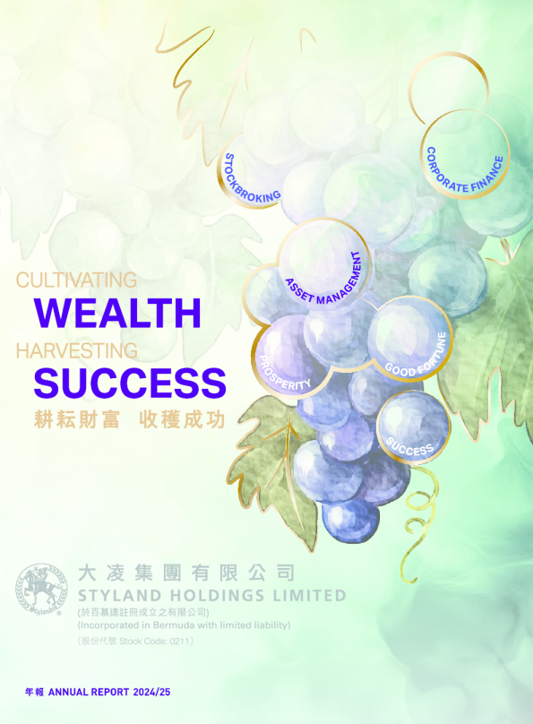 STYLAND HOLD2024/2025年报
