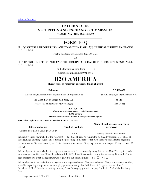 H2O美国2025年季度报告