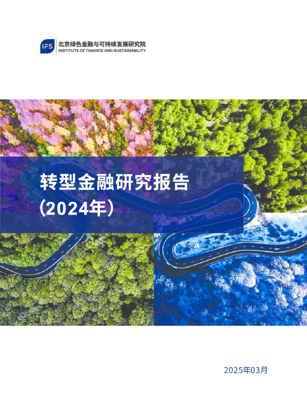 转型金融研究报告（2024年）