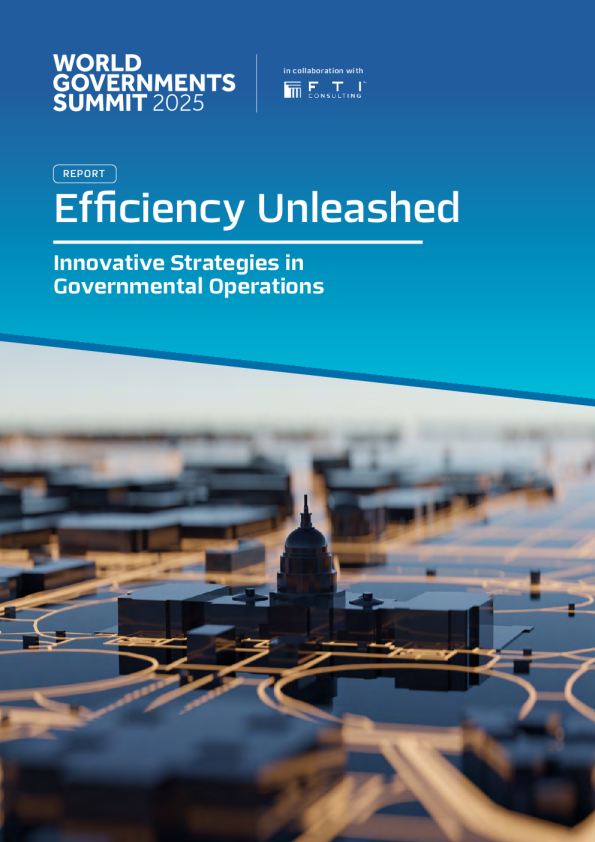 效率释放：政府运作的创新策略