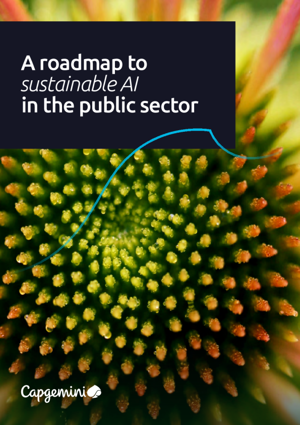 公共部门可持续人工智能路线图