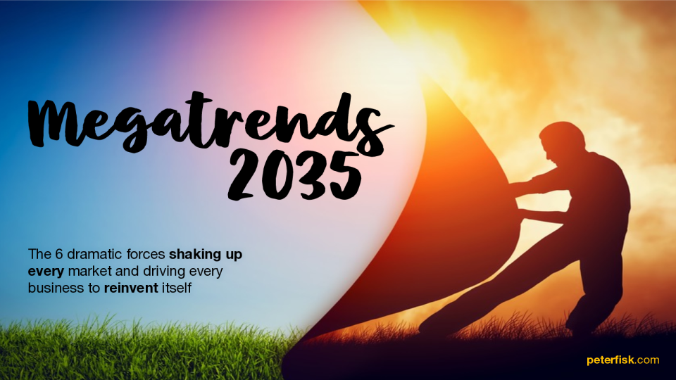 《2035年大趋势：推动商业再造的6股巨大力量》，彼得·菲斯克的一份新报告