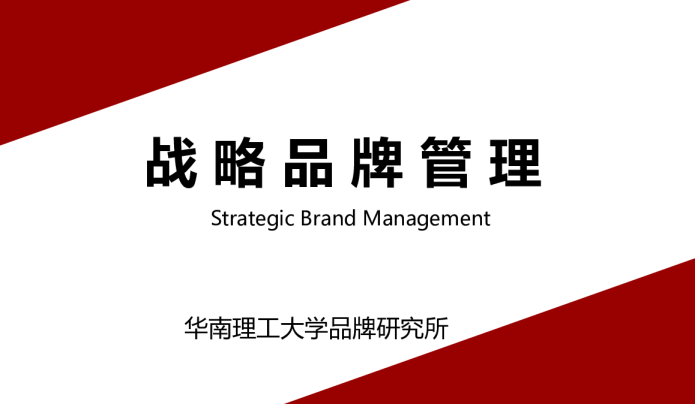 战略品牌管理手册