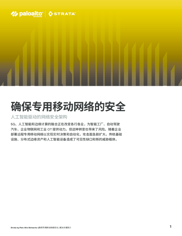 保护专用移动网络安全