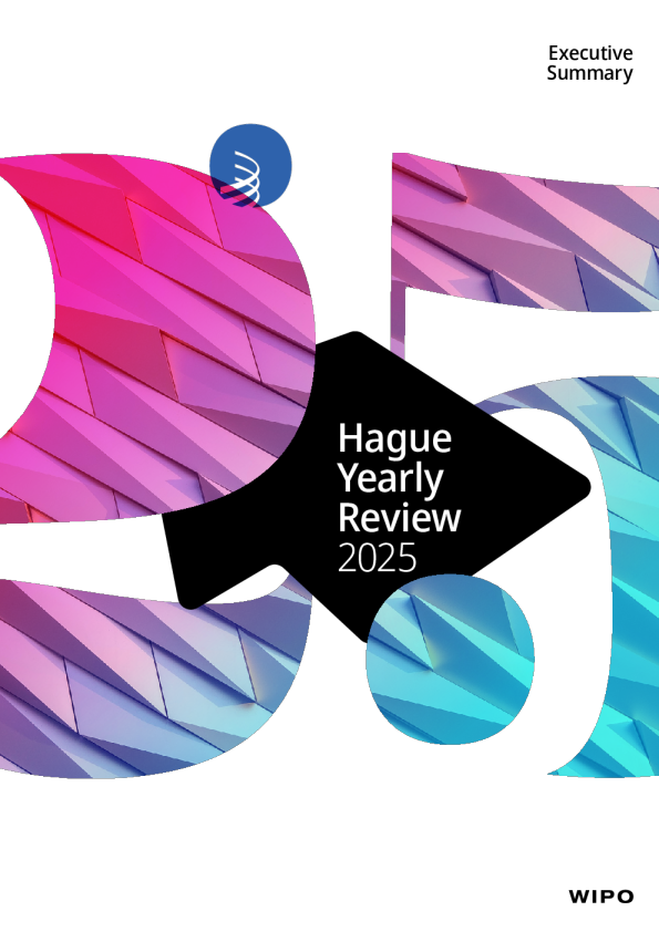 2025年海牙年鉴-执行摘要