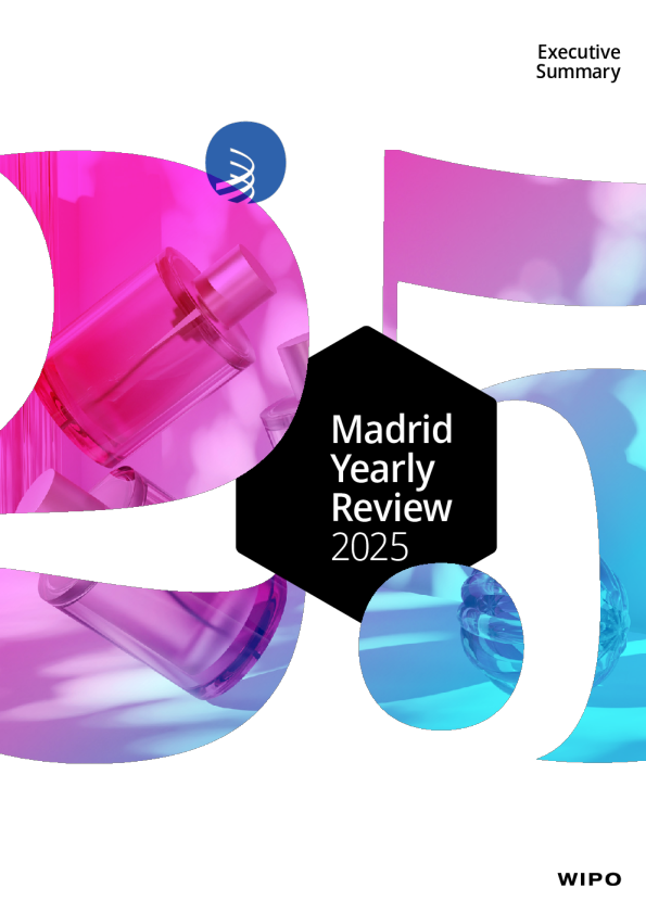 2025年马德里年度回顾——执行摘要