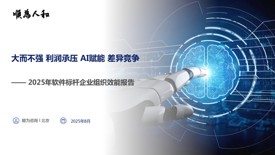 2025年软件标杆企业组织效能报告
