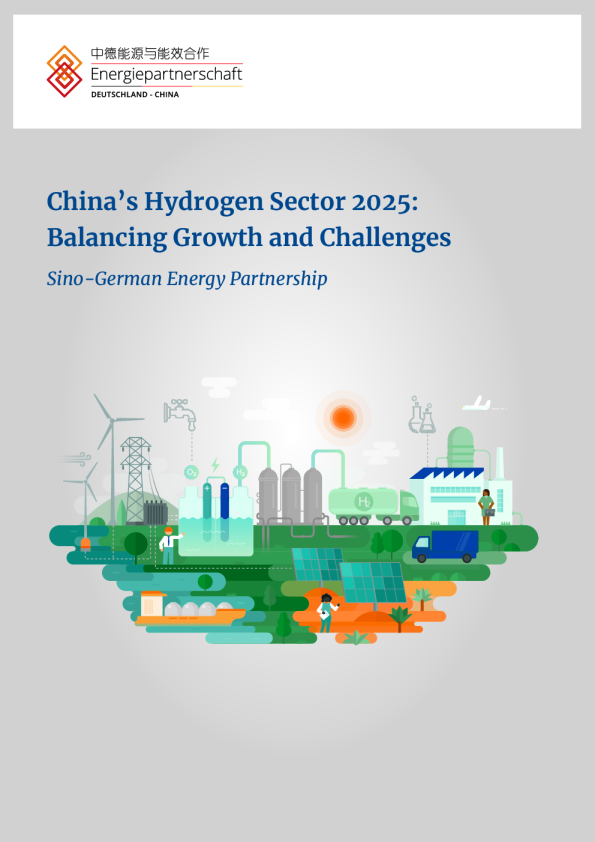 中国氢能行业2025：平衡增长与挑战
