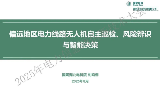 偏远地区电力线路无人机自主巡检、风险辨识与智能决策