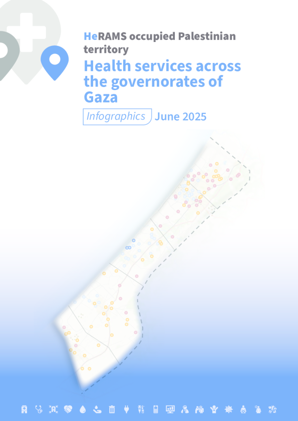 赫兰姆斯巴勒斯坦被占领土：2025年加沙各省的卫生服务（英文版）