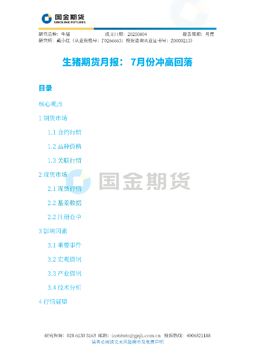 报告封面