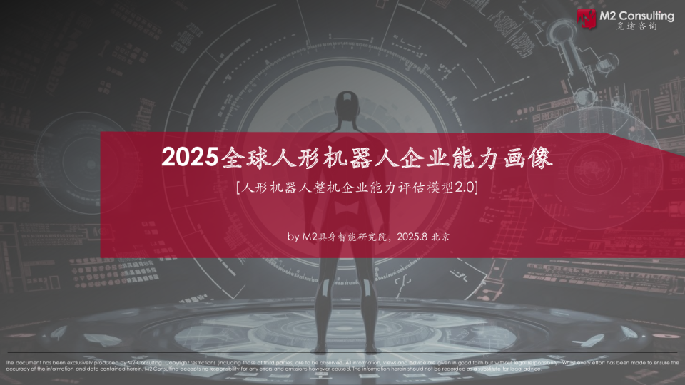 2025全球人形机器人企业能力画像