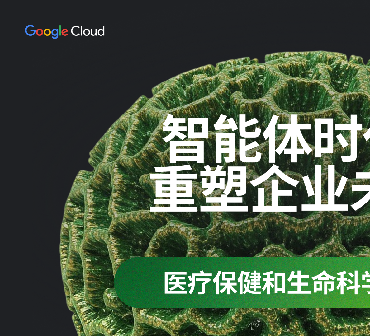 智能体时代：重塑企业未来 医疗保健和生命科学行业