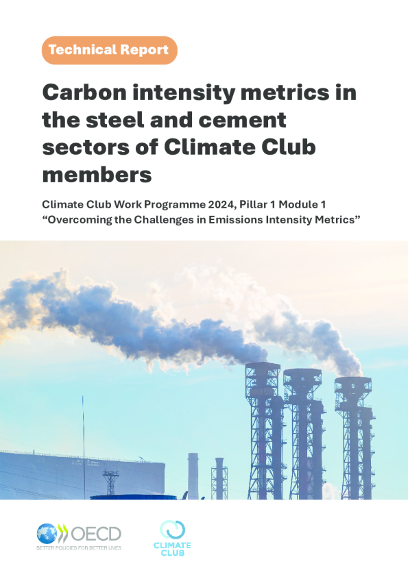 气候俱乐部成员钢铁和水泥行业的碳强度指标：2023-24年工作计划支柱1，模块1“克服排放强度指标的挑战”
