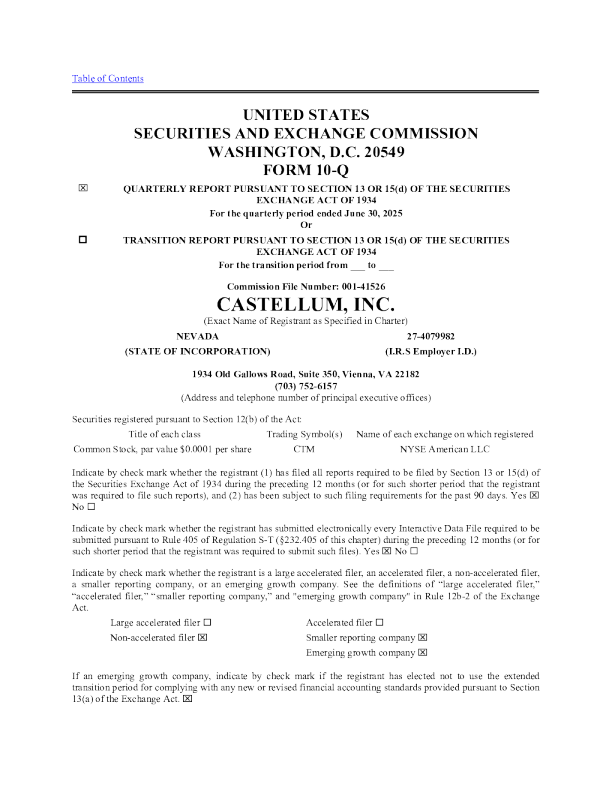 Castellum Inc 2025年季度报告