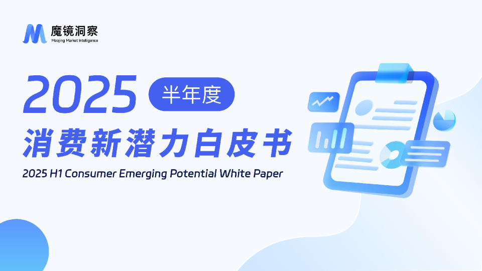 2025半年度消费新潜力白皮书