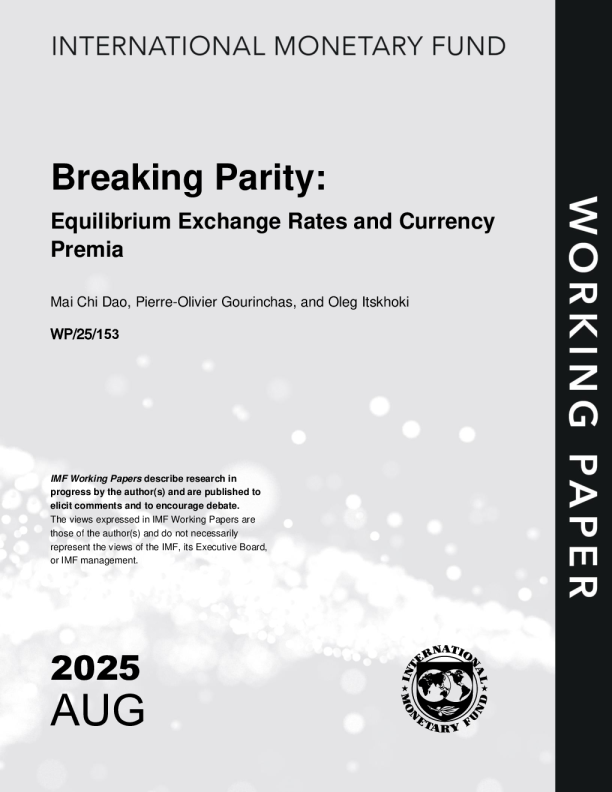 打破平价：均衡汇率与货币溢价（英）2025