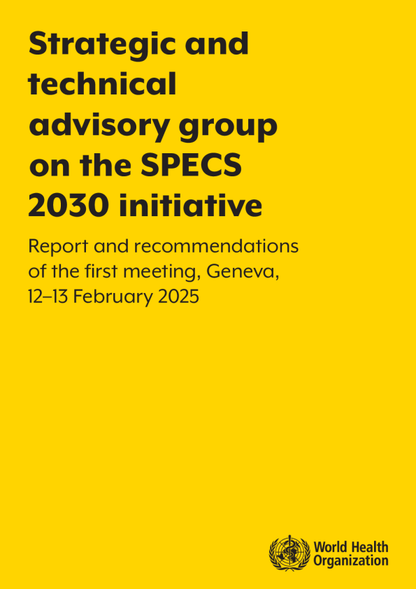 中亚经济体特别方案2030倡议战略和技术咨询小组：第一次会议的报告和建议，日内瓦，2025年2月12日至13日