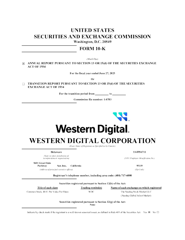 西部数据 2024年度报告