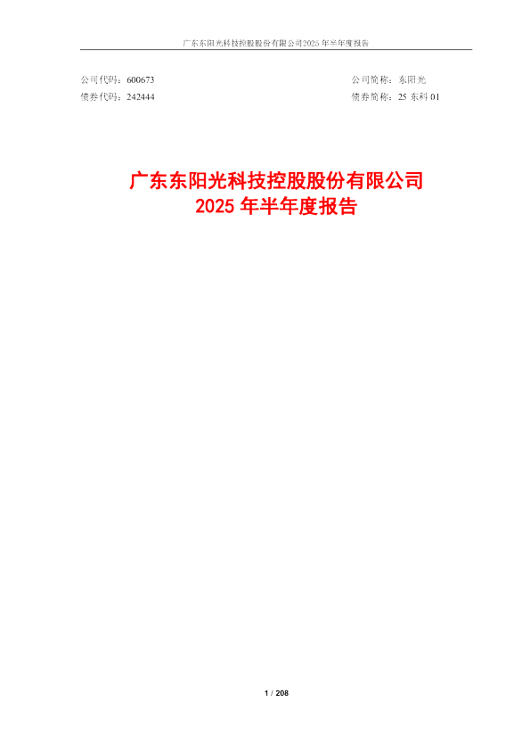 东阳光:2025年半年度报告