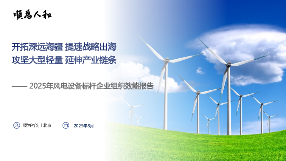 2025年风电设备标杆企业组织效能报告