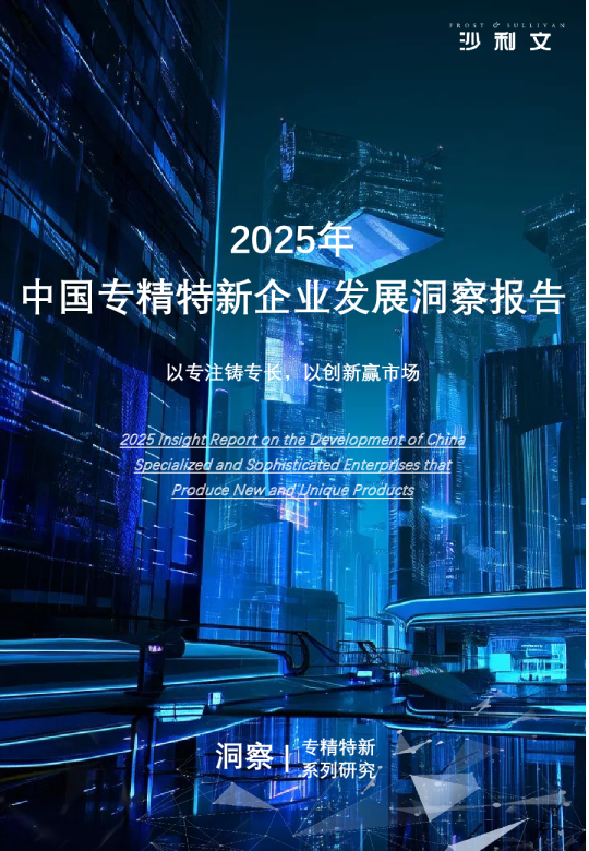 2025年中国专精特新企业发展洞察报告