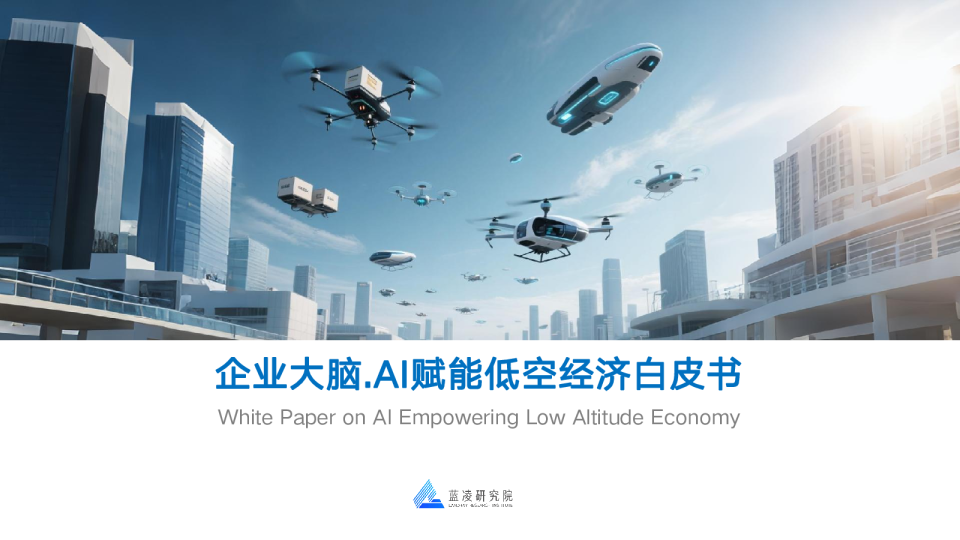 企业大脑：AI赋能低空经济白皮书