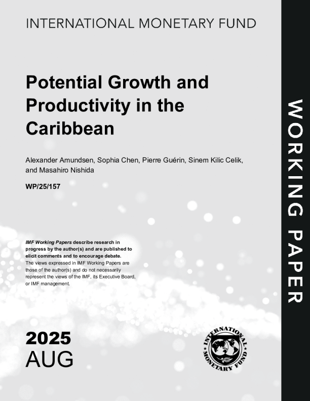 加勒比地区的潜在增长和生产力