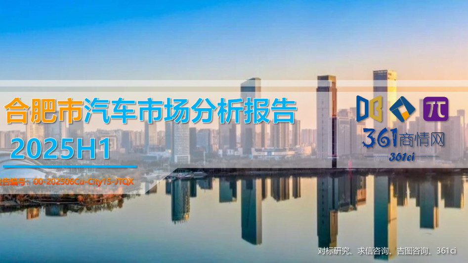 汽车市场整体概况及分析报告