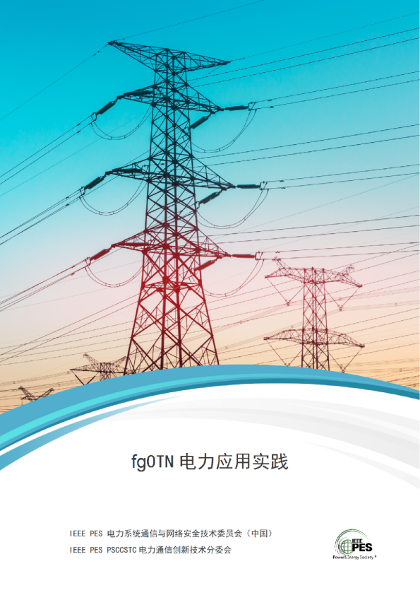 fgOTN电力应用实践