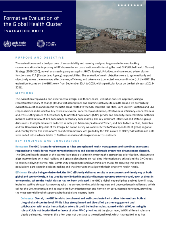 全球卫生集群形成性评估:评估简报