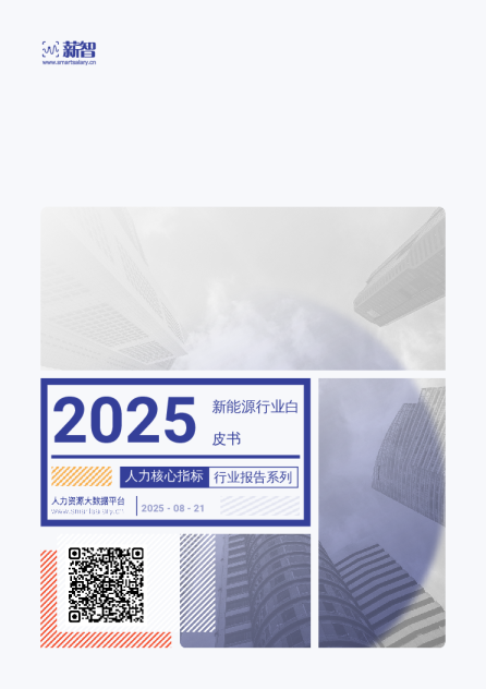2025新能源行业白皮书人力核心指标