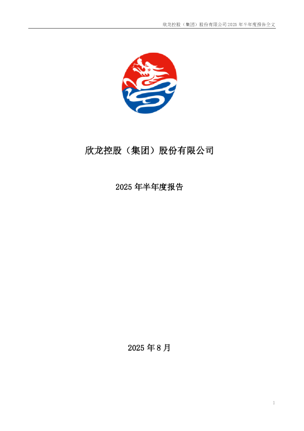 欣龙控股：2025年半年度报告