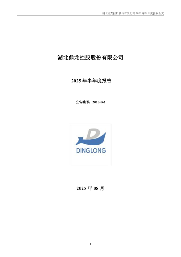 鼎龙股份：2025年半年度报告