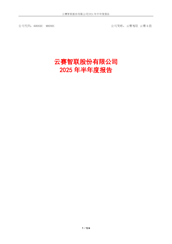 云赛智联：云赛智联2025年半年度报告