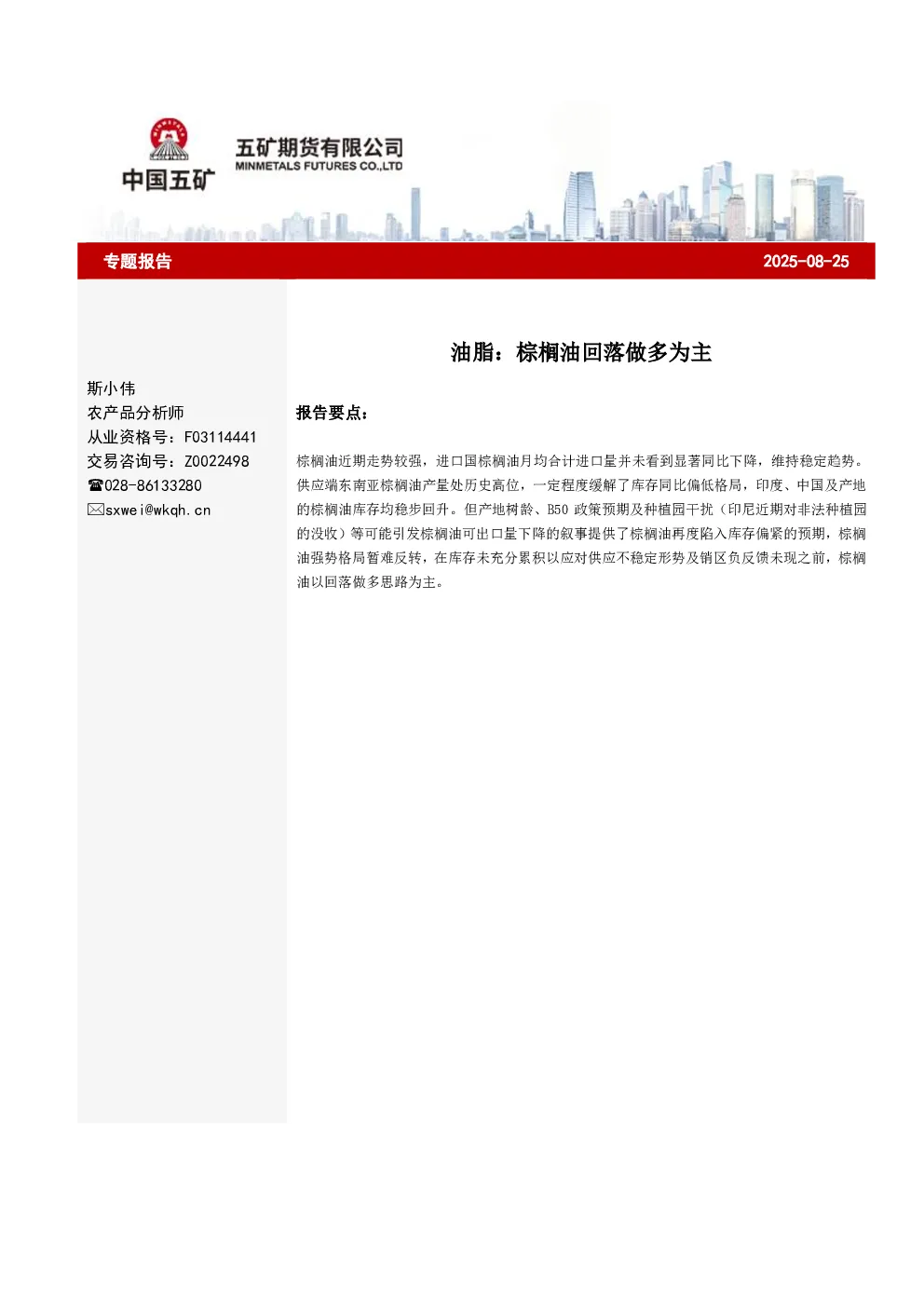 报告封面