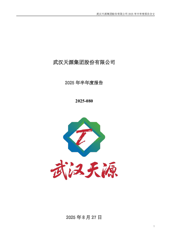 武汉天源：2025年半年度报告